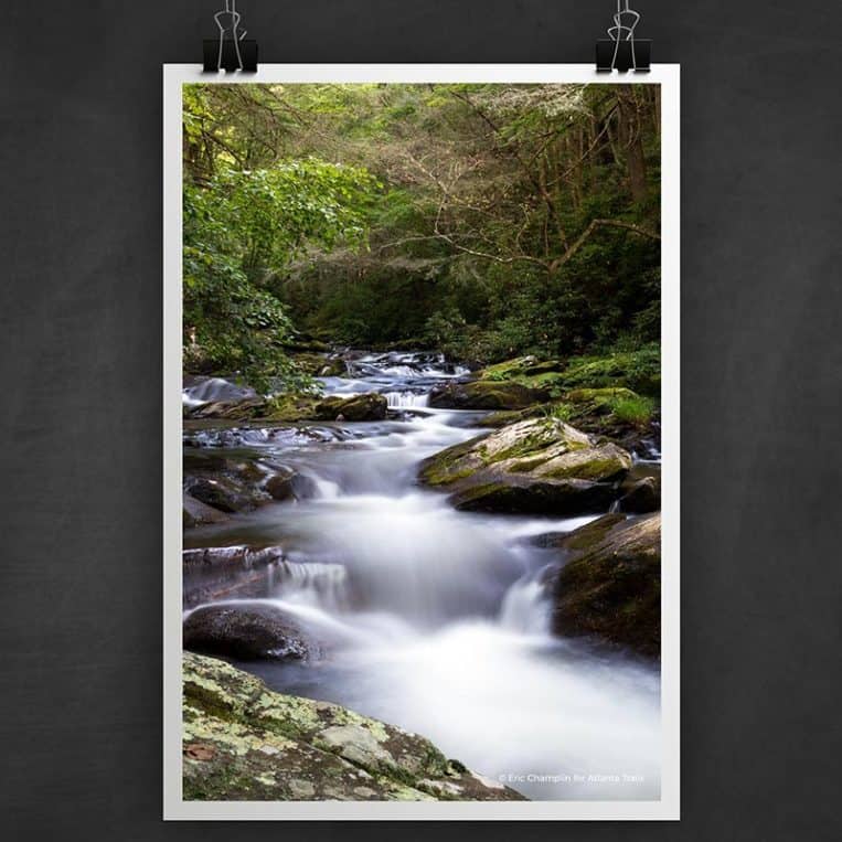 Atlanta Trails Jacks River Trail Photo Art Print
