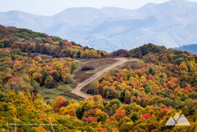 Asheville hikes: our top ten favorite trails within 40 miles of Western NC's favorite mountain town