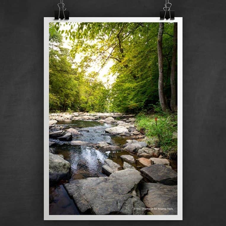Atlanta Trails Sope Creek Photo Art Print