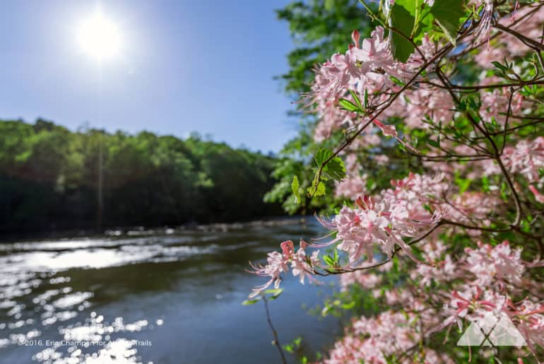 Sweetwater Creek Yellow Trail