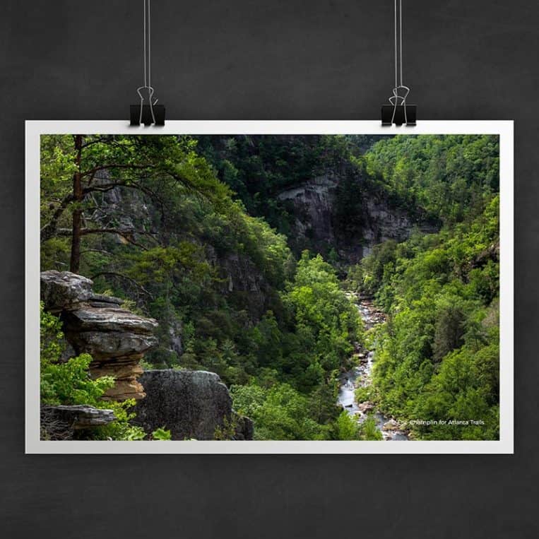 Atlanta Trails Tallulah Gorge Photo Art Print
