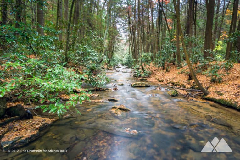 Hike the Appalachian Trail to Springer Mountain from the lush North Georgia creek valley at Three Forks